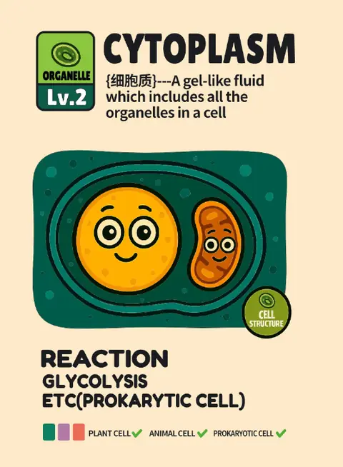Cytoplasm card