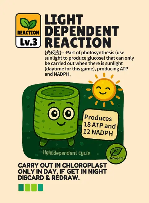 Light-Dependent Reaction card