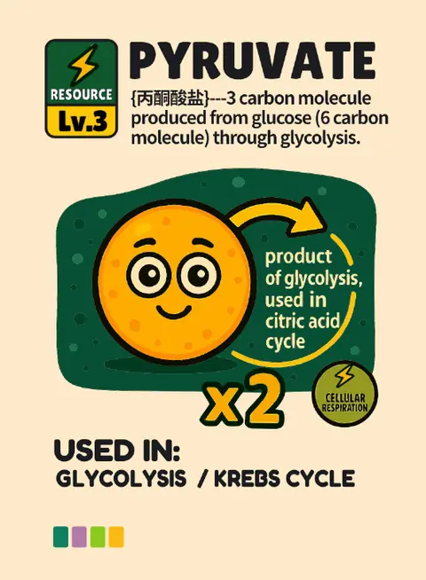 Pyruvate card